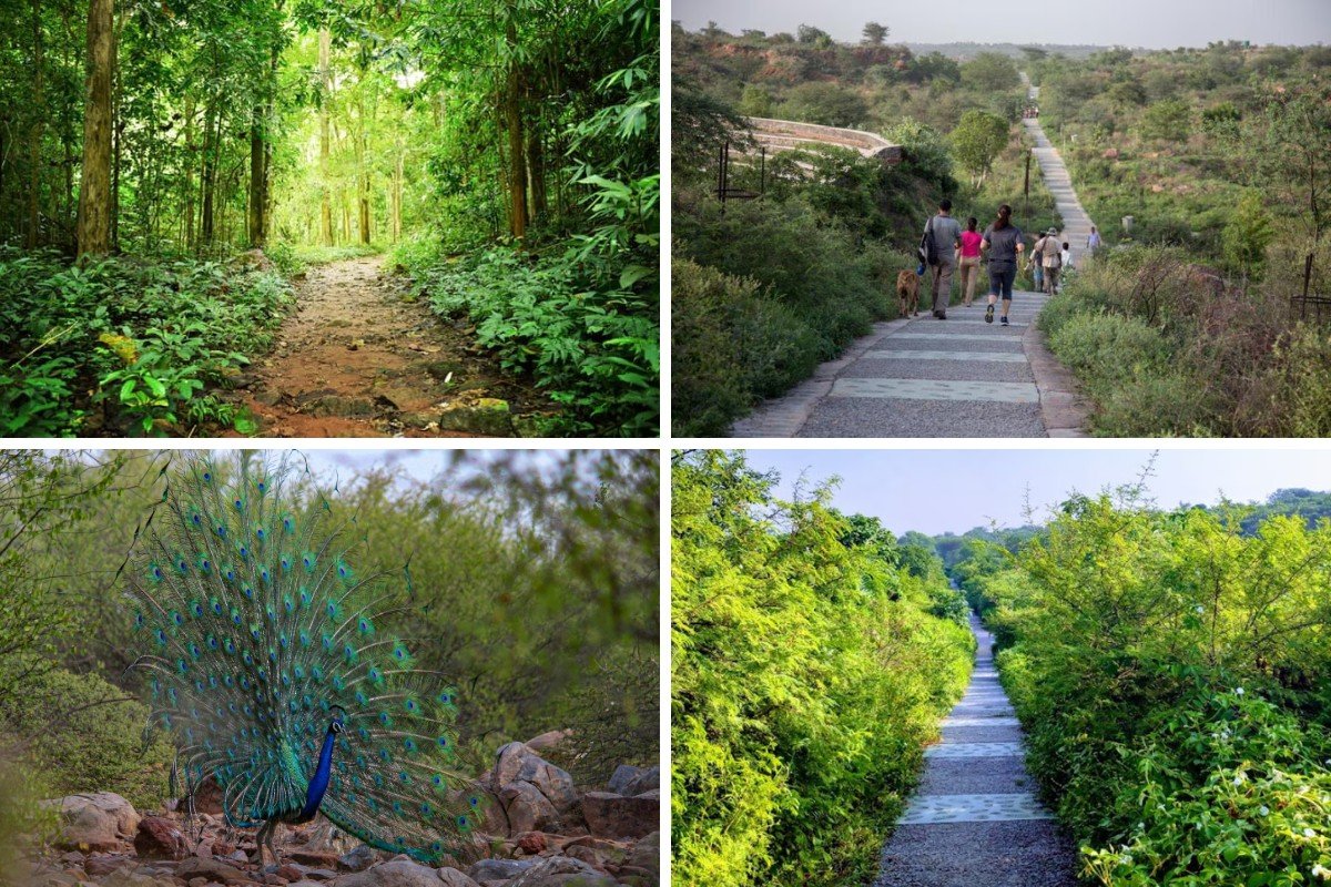 Family Places In Gurgaon