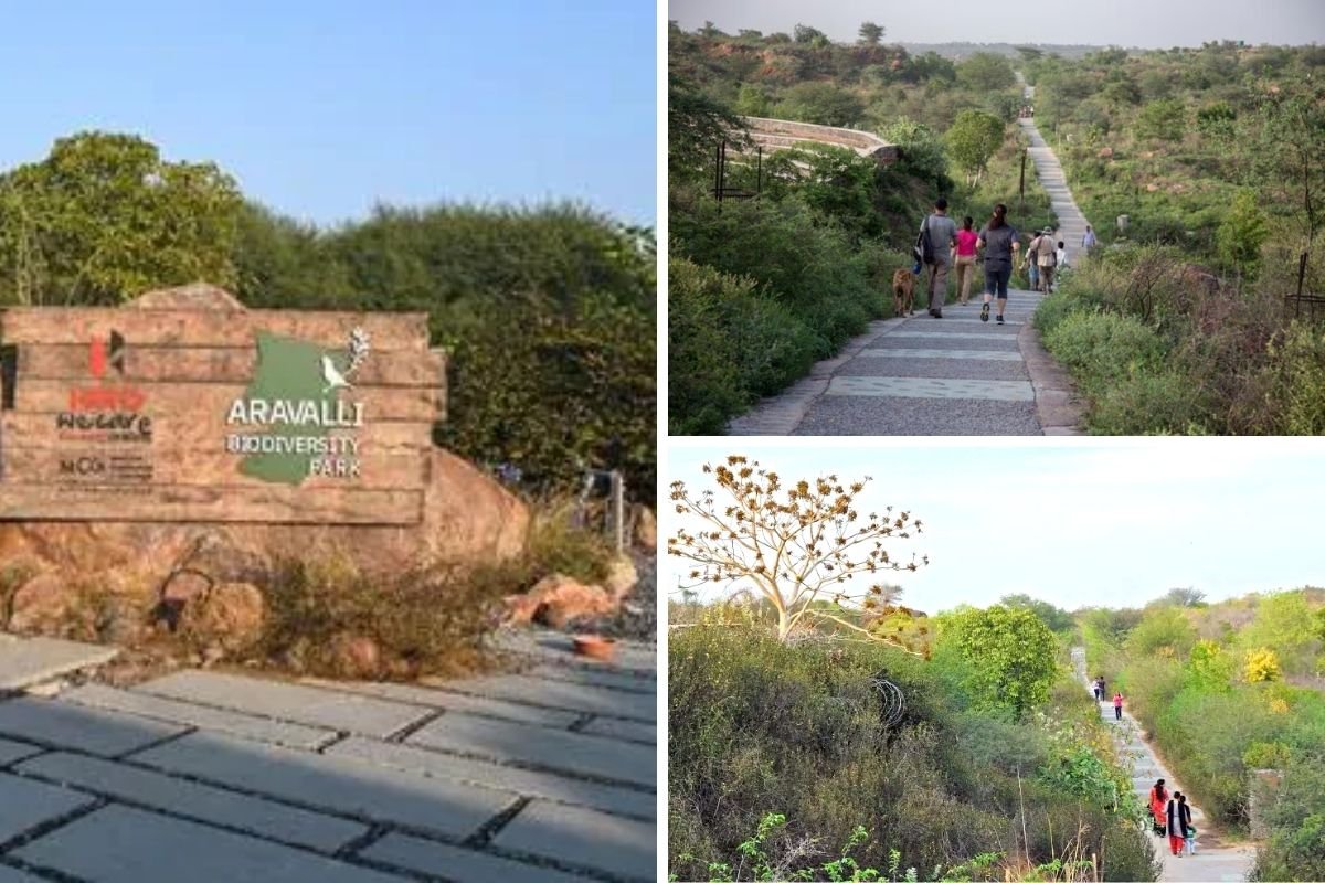 Gurgaon Family Outing Ideas