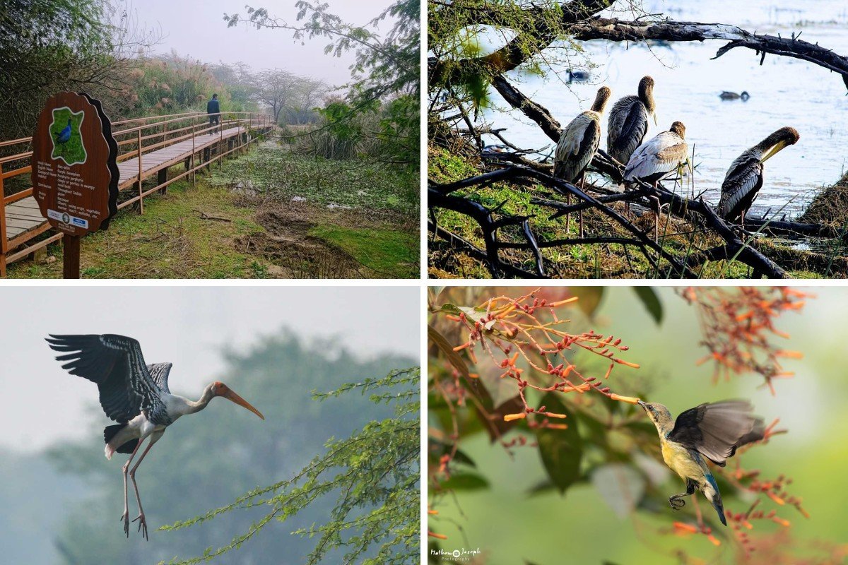 Places To Visit Near Gurgaon New Year