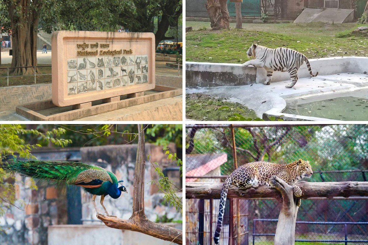 Green Parks In Delhi