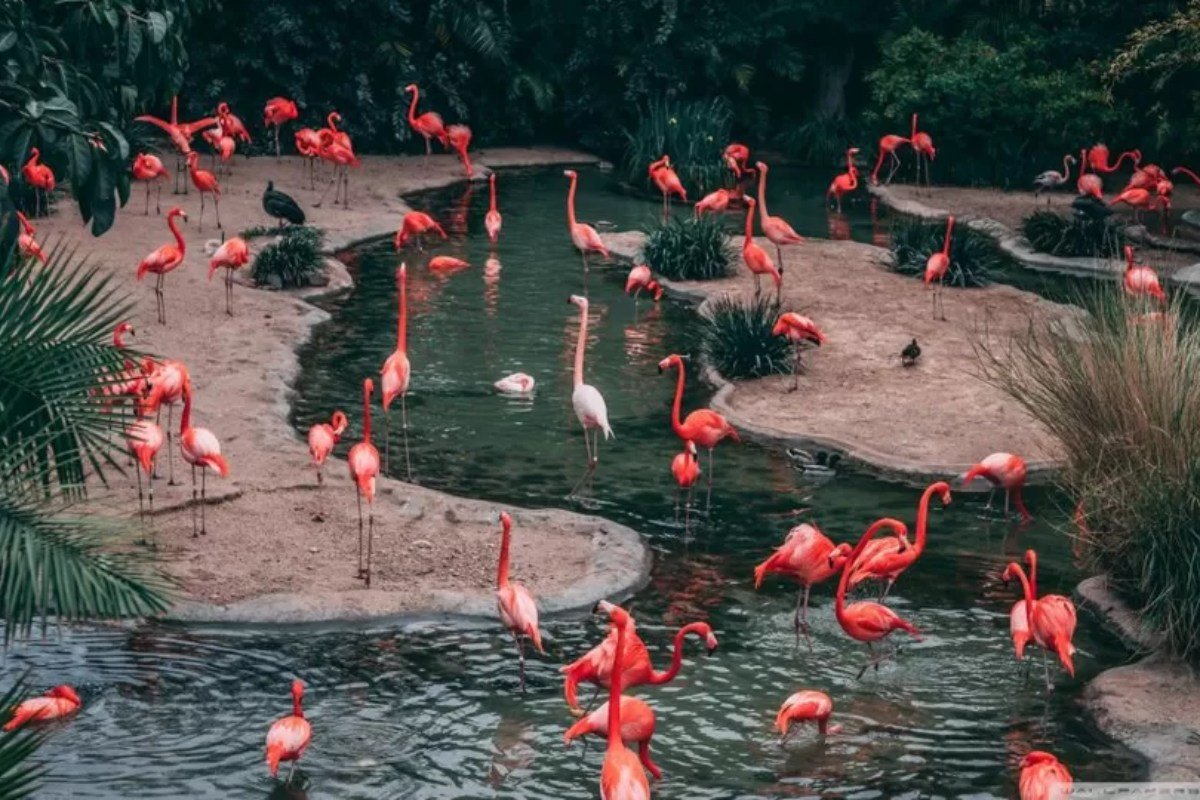 kids activities in Gurgaon