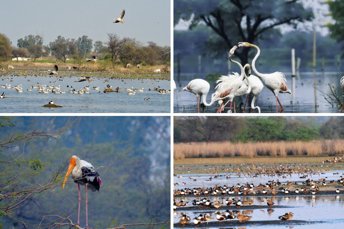 cool places in gurgaon summer