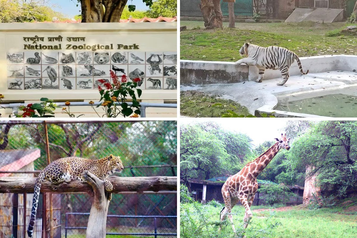 cultural places to visit in Delhi