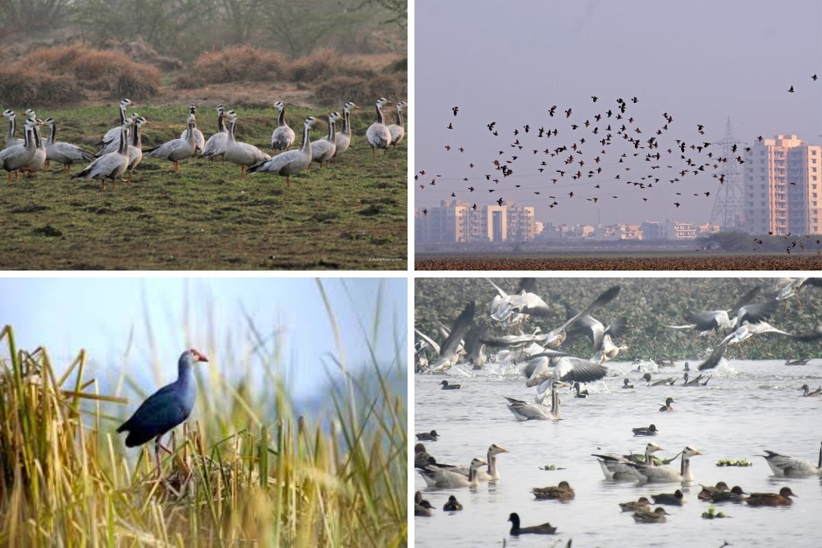 monsoon weekend getaways in Gurgaon