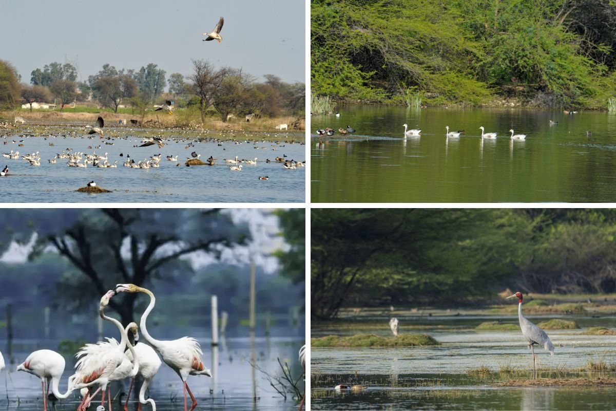 monsoon destinations in Gurgaon