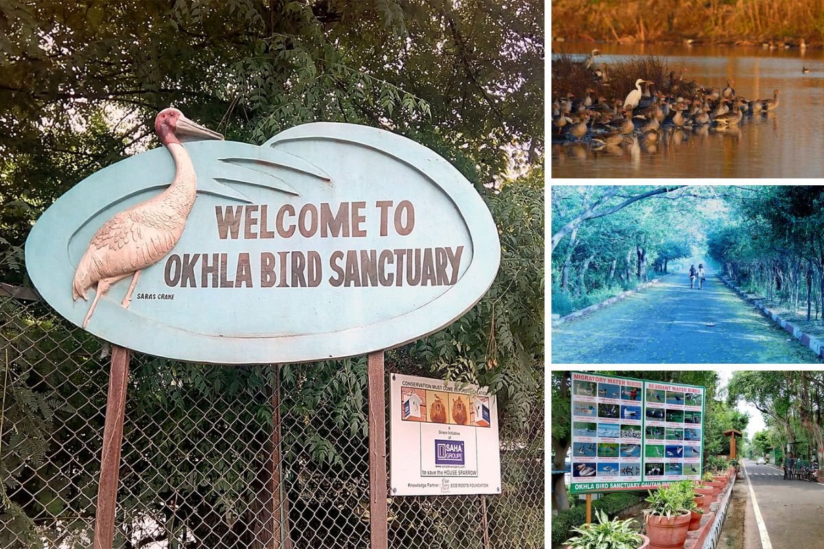 best hidden places in Noida
